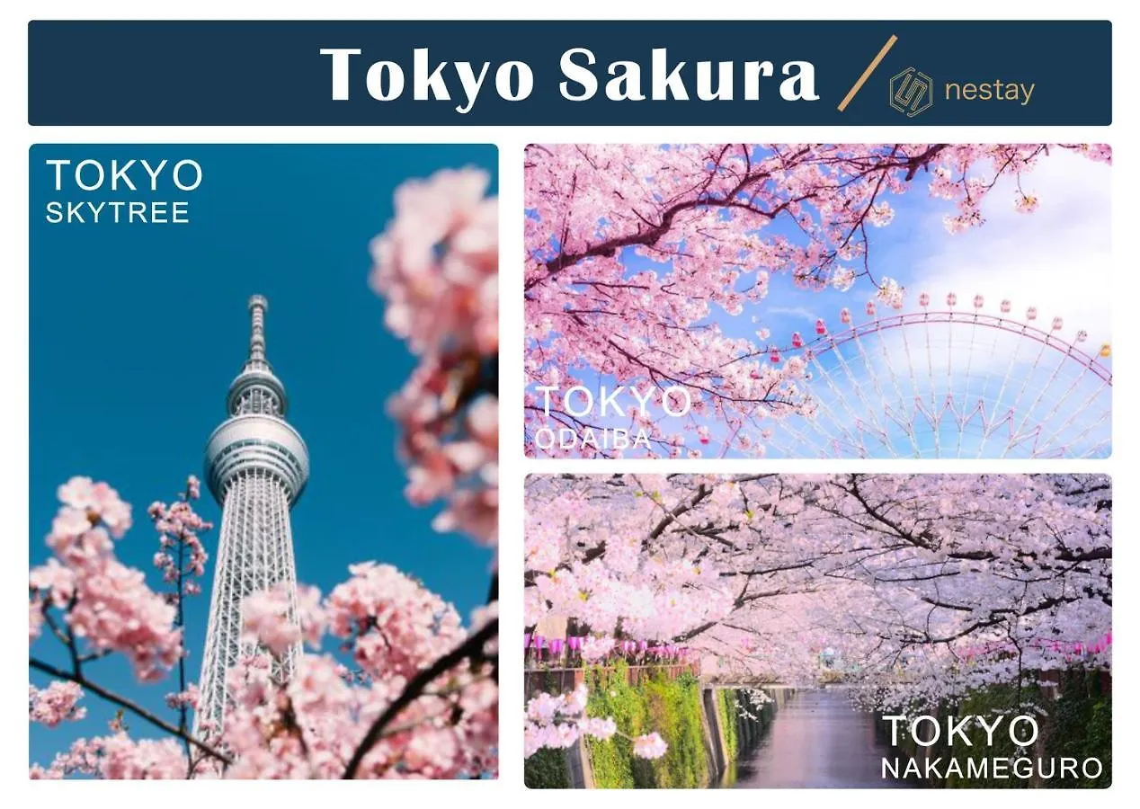 Apartment Nestay Inn Tokyo Otsuka 403